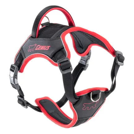 Ferplast GENIUS MEDIUM RED HARNESS нейлонова шлея для тварин червона