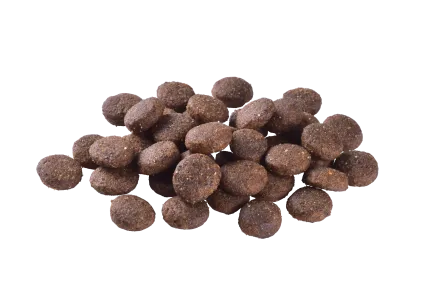 Сухий корм Brit Care Dog Grain-free Junior Large Breed для молодих собак великих порід, беззерновий з лососем, 3 кг — Фото 1
