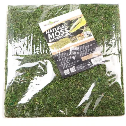 Фон моховий Repti-Zoo Natural Moss Back &amp; Bottom 30x30см 2шт. (NCM3030) — Фото 1