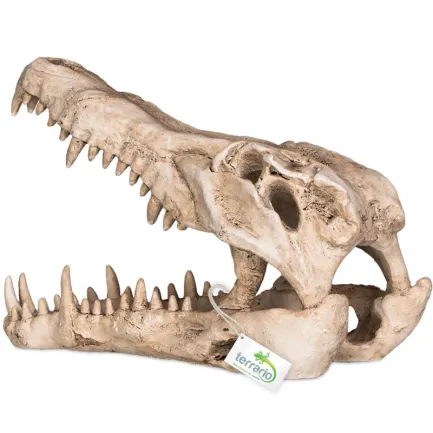 Декорація череп крокодила Terrario Crocodile Skull XL 23x11x16см (251115) — Фото 5