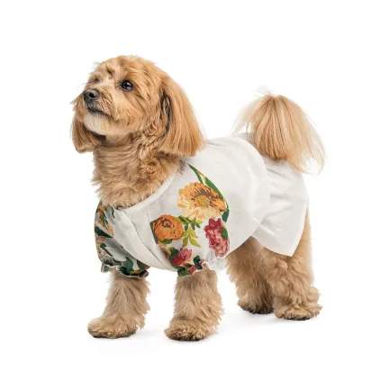 Сорочка Pet Fashion Соломія для собак дівчинка біла S — Фото 1
