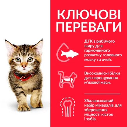 Hill's Science Plan Kitten Сухий корм для кошенят і кішок у період вагітності та лактації, з тунцем, 0,3 кг — Фото 2