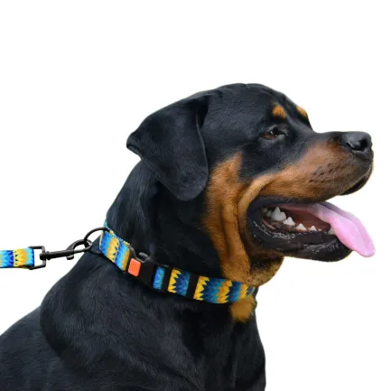 Нашийник для Собак BronzeDog Urban Зигзаг Нейлоновий з Пластиковою Пряжкою Жовто-Синій L — Фото 3