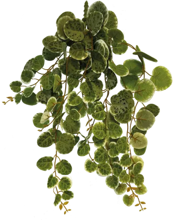 REPTO PLANT HANGING ROUND LEAVES 46CM (R5100405) Штучна рослина для тераріума