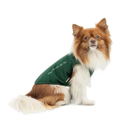 Борцівка Kale ТМ Pet Fashion для собак M зелена — Фото 1
