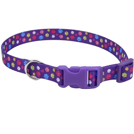 Coastal Pet Attire Styles КОСТАЛ СТАЙЛС нашийник для собак, 2.5х46-66см Лапки