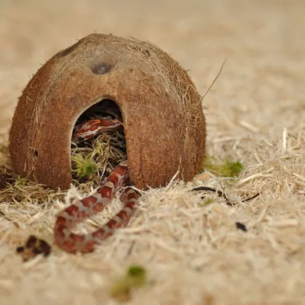 HABISTAT SNAKE BEDDING 10 LITRES (R4100145) субстрат для тераріума — Фото 2
