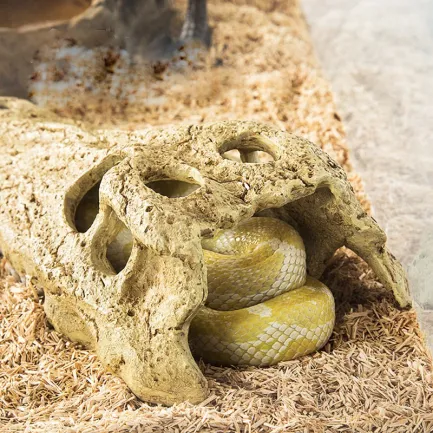 Крокодилячий череп Repti-Zoo Crocodile Skull M 18x10x5.5см (ERS34M) — Фото 4