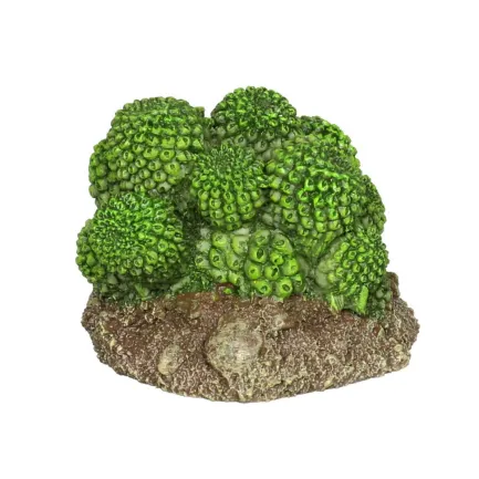 Декорація штучний кактус Hobby Cactus Atacama 7x6x5см (37018) — Фото 1
