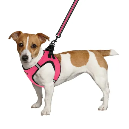 Шлея для собак Bronzedog Mesh Vest 3D сітка рожева 2XS — Фото 2