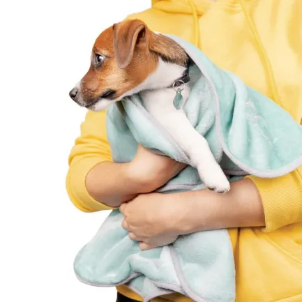 Плед Pet Fashion «Bliss» для собак та цуценят, 77х100 см, м'ята — Фото 2