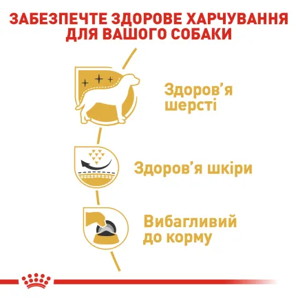 Сухий корм Royal Canin WESTIE ADULT для дорослих собак породи Вест-хайленд-вайт-тер'єр 3 кг — Фото 4