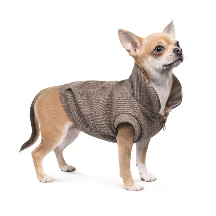 Жакет Pet Fashion «Harry» для собак, розмір XS2, коричневий — Фото 2