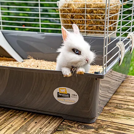 Ferplast CAGE RABBIT 100 (*1) Клітка для кролів — Фото 3