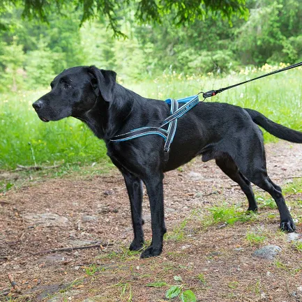 Ferplast SPORT DOG P L BLUE Шлея, нейлон — Фото 3