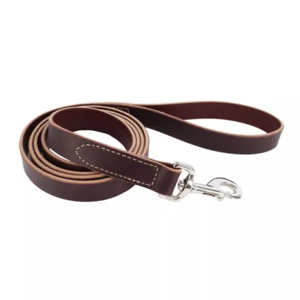 Coastal Circle-T Dog Leash КОСТАЛ СЕРКЛ-Т шкіряний повідець для собак, 2.5смХ1.8м Коричневий