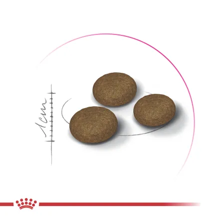 Корм для котів ROYAL CANIN EXIGENT FUSSY з вибагливим апетитом, 4 кг — Фото 1