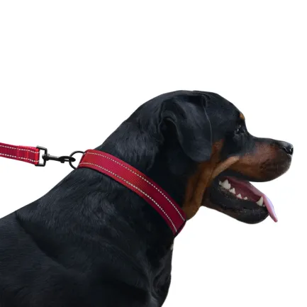 Нашийник для Собак BronzeDog Active Нейлоновий зі Світловідбиттям та Пластиковою Пряжкою Червоний M — Фото 7