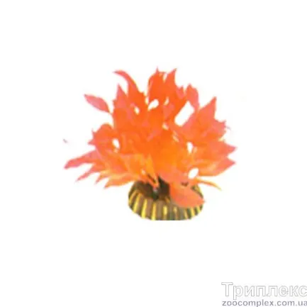 Aquatic Plants (Акватик Плэнтс) Акваріумна рослина, 8 см х 8 шт/уп.