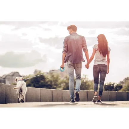 Повідець-рулетка для собак WAUDOG R-leash, кругла, XS-M, до 40 кг, 2,9 м, світловідбиваюча стрічка блакитний — Фото 9