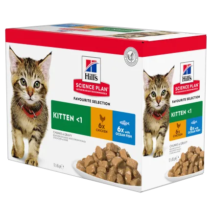 Hill's Science Plan Kitten Вологий корм для кошенят і кішок у період вагітності та лактації, з куркою та з океанічною рибою, пауч, 85г (6+6 шт)