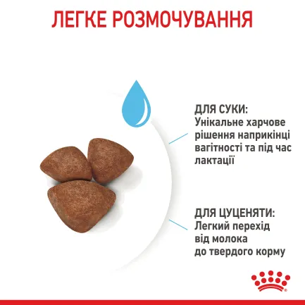 Сухий корм Royal Canin MINI STARTER для дорослих собак малих порід 8 кг — Фото 5
