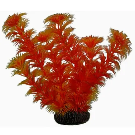 Акваріумна рослина Aquatic Plants, 19 см х 8 шт / уп (1968)