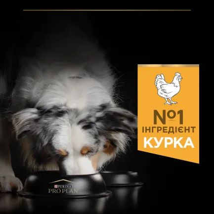Сухий корм PRO PLAN Medium Adult 1+ Everyday Nutrion для дорослих собак середніх порід з куркою 3 кг — Фото 5