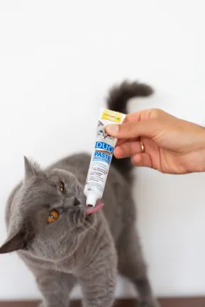 Паста для котів GimCat DUO PASTE Multi-vitamin 12 vitamins with tuna 12 вітамінів та тунець, 50 г — Фото 3