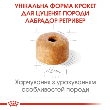 Сухий корм Royal Canin LABRADOR PUPPY для цуценят породи Лабрадор 3 кг — Фото 3