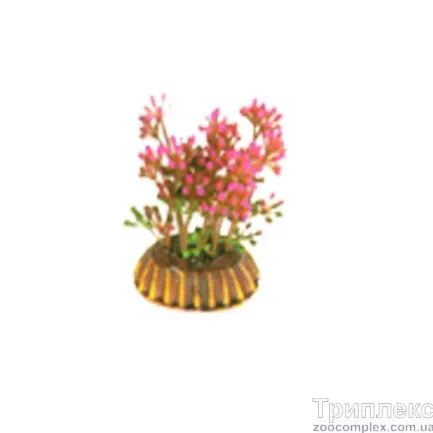 Aquatic Plants (Акватик Плэнтс) Акваріумна рослина, 8 см х 10 шт/уп.