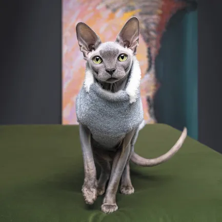 Светр Pet Fashion «Cat» для кота, розмір XS, меланж — Фото 2