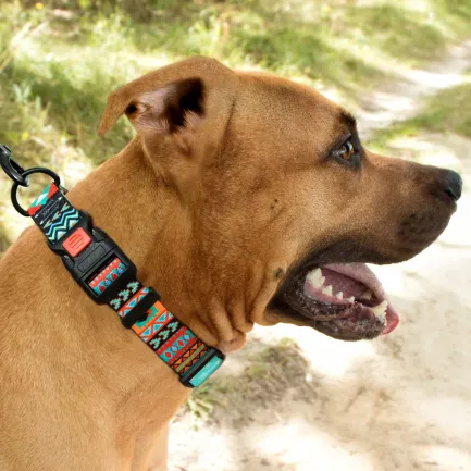 Нашийник для Собак BronzeDog Urban Нейлоновий з Пластиковою Пряжкою Ацтеки M — Фото 5