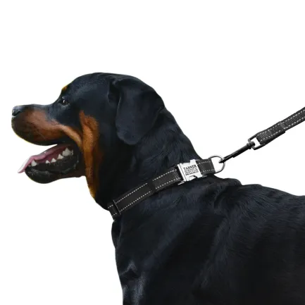 Нашийник для Собак BronzeDog Active Нейлоновий зі Світловідбиттям та Металевою Пряжкою Чорний L — Фото 2