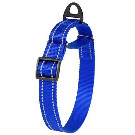 Нашийник для собак Мартінґейл Bronzedog Active нейлоновий зі світловідбиттям синій L — Фото 3