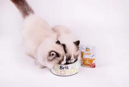 Корм вологий "Суп для котів Brit Care Soup with Duck з качкою", 75 г — Фото 4
