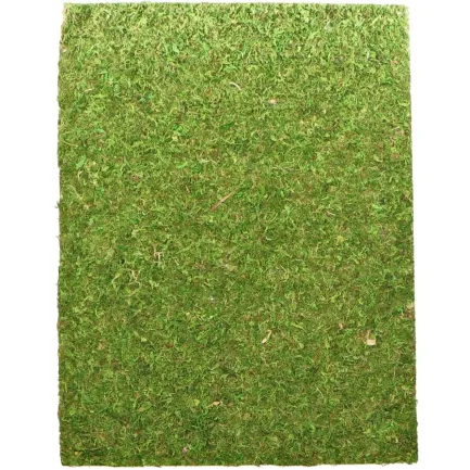 Фон моховий Repti-Zoo Natural Moss Back &amp; Bottom 60x45см 2шт. (NCM6045)