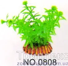 Aquatic Plants (Акватик Плэнтс) Акваріумна рослина, 8 см х 10 шт/уп.