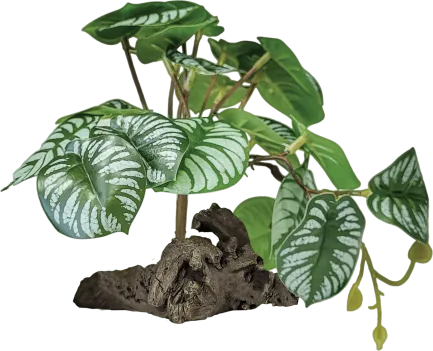 REPTO PLANT ON DECO BEGONIA (R5100450) Штучна рослина для тераріума