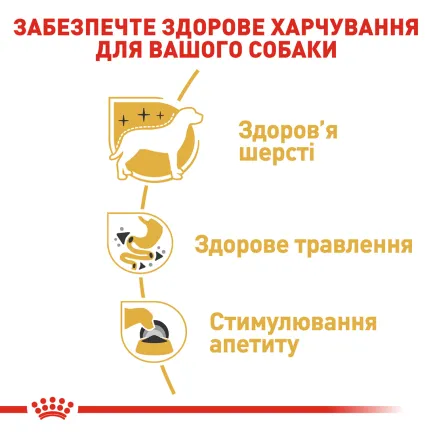 Вологий корм Royal Canin CHIHUAHUA ADULT для дорослих собак породи Чихуахуа 85 г — Фото 2