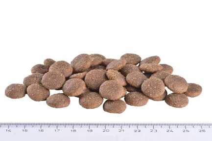 Сухий корм Brit GF VetDiet Dog Gastrointestinal для собак, при порушеннях травлення, з оселедцем, лососем та горохом, 2 кг — Фото 4