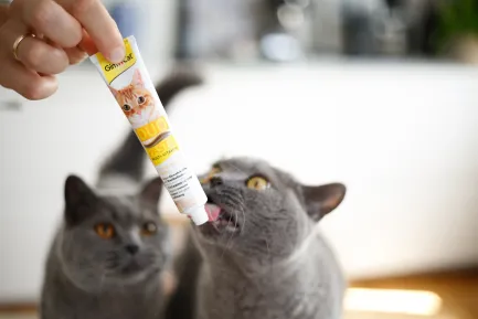 Паста для котів GimCat DUO PASTE Multi-vitamin 12 vitamins with cheese 12 вітамінів та сир, 50 г — Фото 3