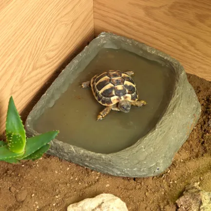 Тераріумний стартовий набір HABISTAT TORTOISE TABLE ACCESSORY KIT (R1100025) — Фото 5