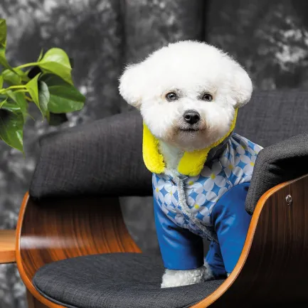 Костюм Pet Fashion Tender для дівчаток, розмір S, синій — Фото 5