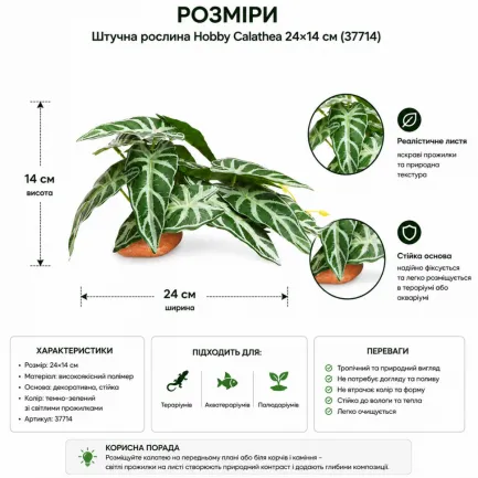 Штучна рослина Hobby Calathea 1 24×14 см (37714) для тераріуму, акватераріуму та палюдаріуму — Фото 1