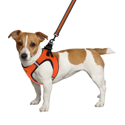 Шлея для собак Bronzedog Mesh Vest 3D сітка помаранчева 2XS — Фото 2
