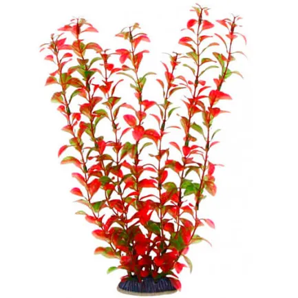 Акваріумна рослина Aquatic Plants, 34 см х 6 шт / уп (3469)