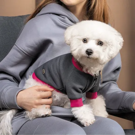 Толстовка Pet Fashion «Bim» для собак, розмір XS, сіра — Фото 3