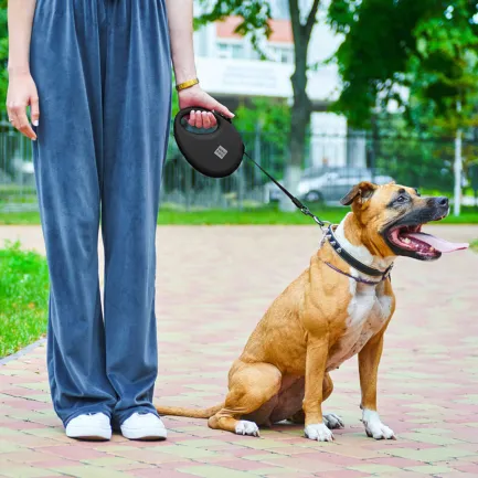 Повідець-рулетка для собак WAUDOG R-leash з контейнером для пакетів, світловідбивна стрічка, L, до 40 кг, 5 м, чорний — Фото 1