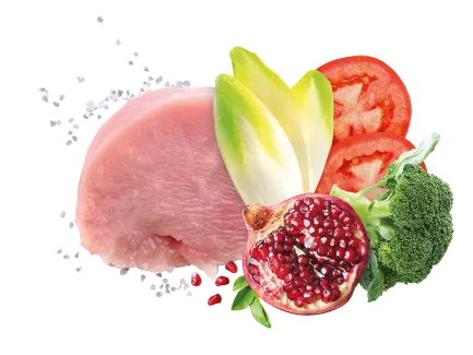 Exclusion Adult Turkey корм для дорослих собак всіх порід з індичкою 400 г — Фото 1